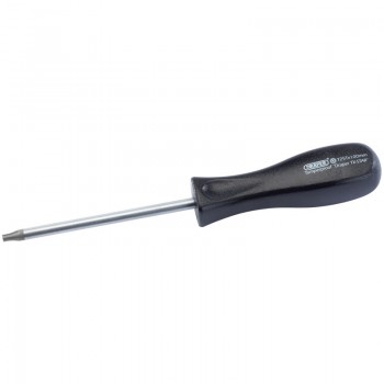 Draper TX-STAR® Security Screwdriver, T25T x 100mm
