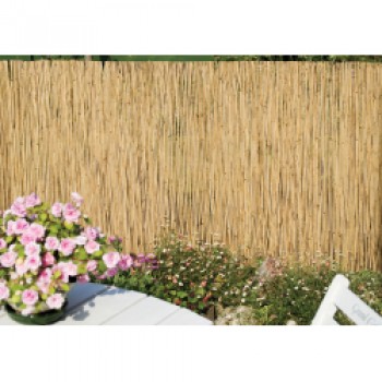 Reed Screening - 4m x 1m