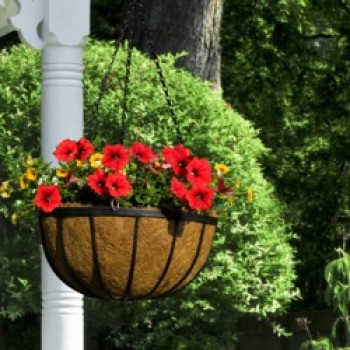 Flat Bar Hanging Basket - 12
