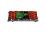 Growing Tray - 18 x 9cm Square Pots