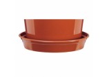 Flower Pot Saucer - 12