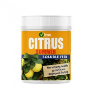 Citrus Feed - Summer - 200g