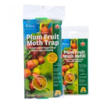 Plum Fruit Moth Trap - Protects up to 3 trees