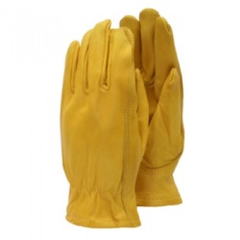 Premium - Leather Gloves - Ladies Size - S Premium - Leather Gloves - Ladies Size - S
